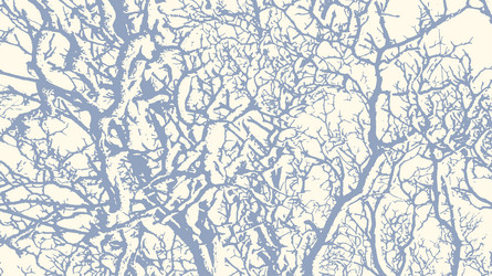 Tree branches with snow in winter texture vector