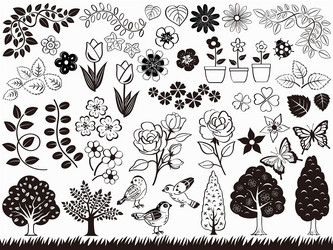 spring and summer botanical element set vector image
