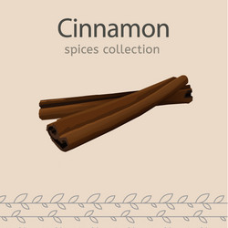 Three brown cinnamon sticks Royalty Free Vector Image