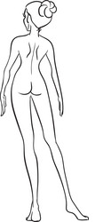 naked woman Vector Image