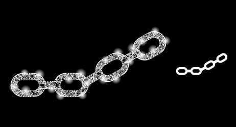 bright net chain with light spots vector image