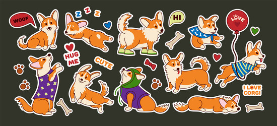 cute corgi stickers funny welsh puppy dog Vector Image