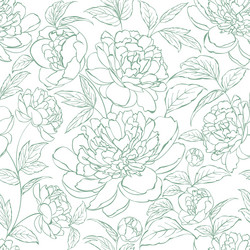 Seamless pattern from flowers of peonies vector