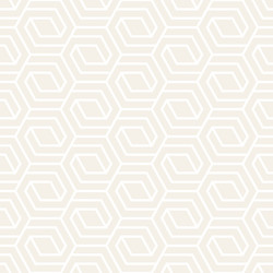 Seamless lattice pattern modern stylish texture vector