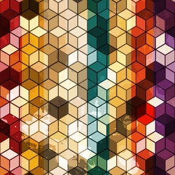 Geometric Cube Pattern vector image