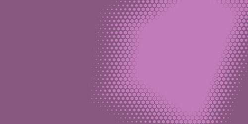 geometric abstract hexagon two color background vector image