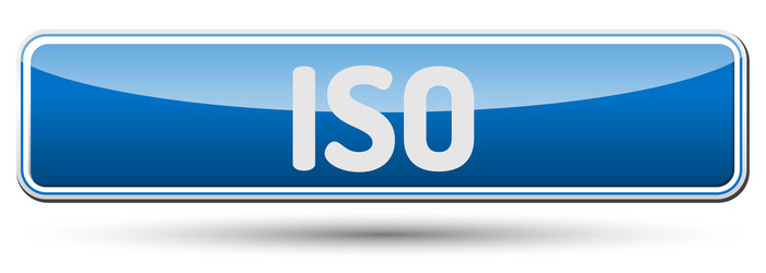 iso - abstract beautiful button with text vector image