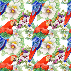 Watercolor Parrot Seamless Pattern Vector Image