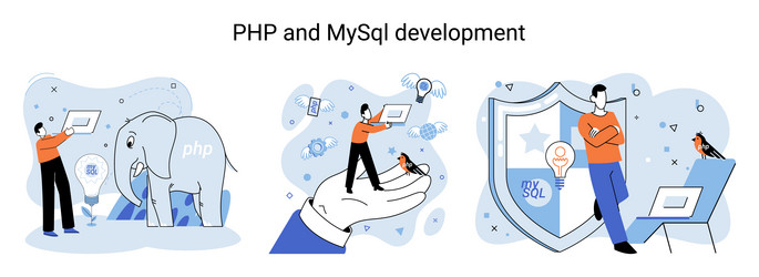 php and mysql development software website vector image