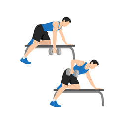 man doing single arm bent over row exercise vector image
