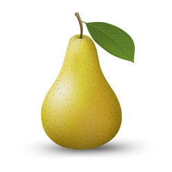 Pear sweet fruit 3d realistic icon Royalty Free Vector Image