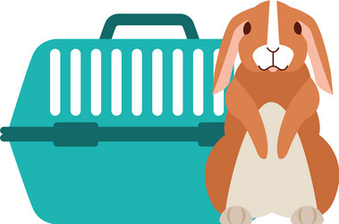 Rabbit Cage Vector Images (over 720)