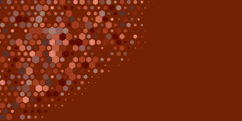 geometric multi size hexagon with color vector image