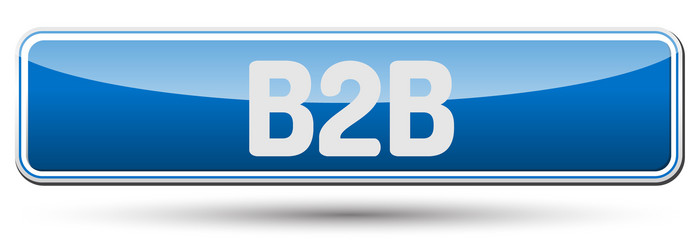 b2b - abstract beautiful button with text vector image