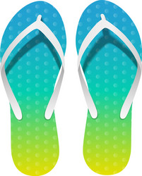 pair bright flip-flops on white background vector