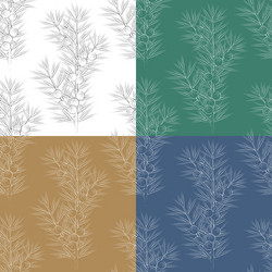 set of seamless patterns with juniper branches vector