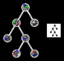 crossed web mesh hierarchy structure icon vector image