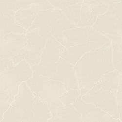 Marble Texture Seamless Pattern vector image