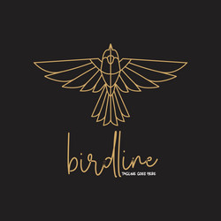 bird line wing fly logo vector