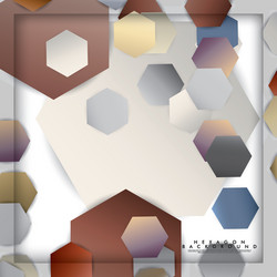 abstract hexagon background with color stone vector image