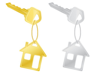 Multiple Keys on White Background vector image