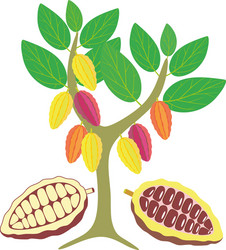 Cocoa Tree Vector Images (over 2,900)