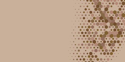 geometric multi size hexagon with color vector