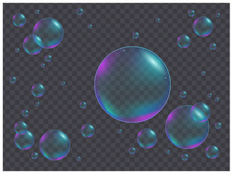 Realistic iridescent bubbles different sizes vector