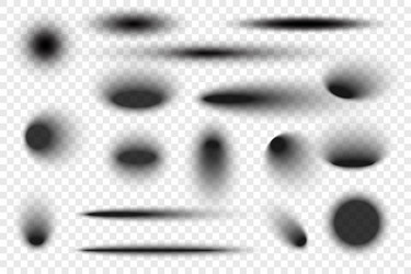 circle shadows with blurred effect realistic oval vector image