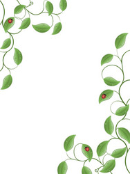 Floral Botanical Background Royalty Free Vector Image