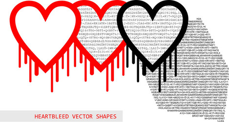 Heartbleed openssl bug shape vector