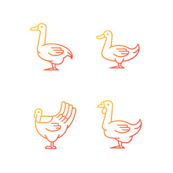 Farm birds for poultry linear icons set Royalty Free Vector