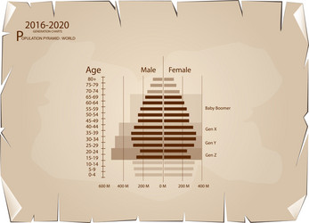 2016-2020 population pyramids graphs with 4 genera vector image