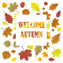 Autumn Leaves Sales Banner Vector Image
