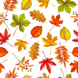 seamless pattern with autumn leaves vector image