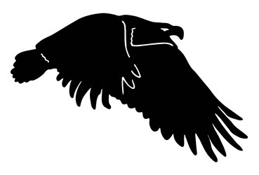 Flying Eagle Symbol Eagle With Open Wing Vector Image