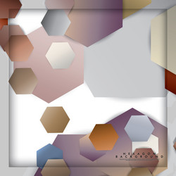 abstract hexagon background with color stone vector image