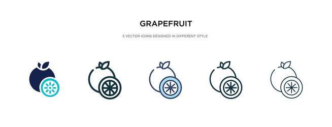 grapefruit icon in different style two colored vector image