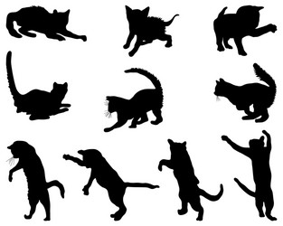 Black Cat Silhouettes Vector Image