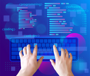 programming and coding website development vector image