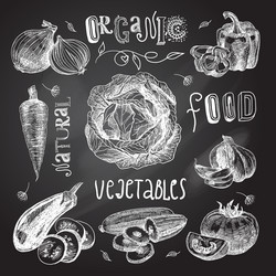 Farm vegetables chalk sketches on chalkboard Vector Image