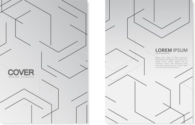 Modern stylish texture with linear hexagonal grid vector