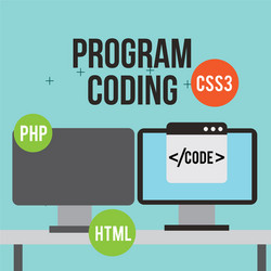 Program coding website vector