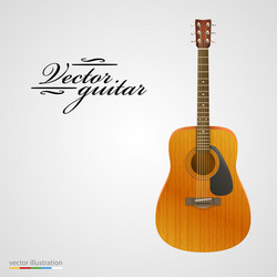 Classic guitar isolated on white Royalty Free Vector Image