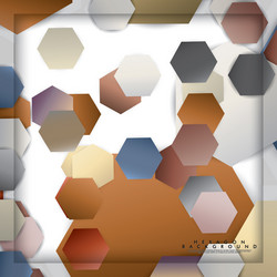 abstract hexagon background with color stone vector image