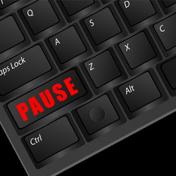 computer keyboard part with pause in red color vector image