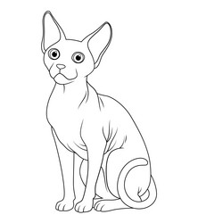 sphynx cat cartoon animal bw vector