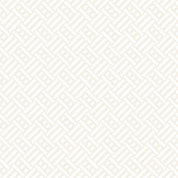 abstract geometric pattern with stripes lattice vector image