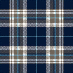 Blue tartan plaid scottish pattern vector