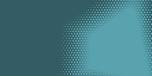 Geometric abstract hexagon two color background vector